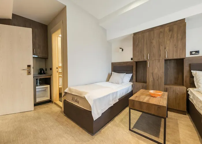 Konaci & By Husky 公寓 科帕奥尼克